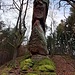Der Ostgrat