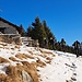 Alp de Martum
