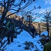 Sentiero che non si vede assolutamente, ontani che ostruiscono il passaggio ... e questo per cominciare