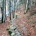 Pulito nella prima parte