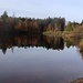 Abstecher zum Koglweiher