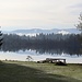 Morgenstimmung am Kirchsee