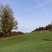 hinauf zum Streitberg