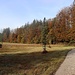 danach entlang  zwischen Moor und Wald