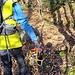 Vernice e vino