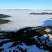 Die Gipfel des Zürcher Oberlands ragen aus dem Nebelmeer.