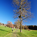 Sieht nach Frühling aus