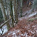 Steiler Abstieg vom Tritt nach Ober Ruestel. Nicht ohne mit dem vereisten Laub.