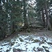 Die Nordgrat-Abkürzung zum Brüschtockbügel