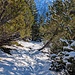 mühsames Schnee stapfen hinunter zum Chemi Pass