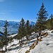 nun geht es weiter vom Chemi Pass hinunter zum Bargällasattel