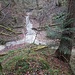 der Zusammenfluss: links Müllberger Tobel, rechts Rappetobel