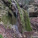 von hier geht's zum nächsten Kalktuffkegel, das ist der Wasserfall des Seitentobels bei 550 m