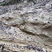 wie ein Keil hat sich der Sandkörper in den Mergel eingefressen. Da hat wohl ein Fluss nachträglich die Mergelschicht durchschnitten, bis alles unter Mergel eingedeckt wurde