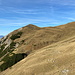 Unterwegs zwischen Alp Gritsch und Tälihöhi - Bald ist der Pass wieder erreicht, von dem noch ein kurzer Abstecher zum Nospitz folgt. Dabei geht's über die Kuppe Tälihöhi.  