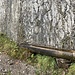 ... und verbleibt während des gesamten Abstieges; hier beim Pausenbrunnen ...