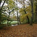 durch den Englischen Garten