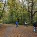 durch den Englischen Garten