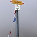erst im Nebel auf Garte ...