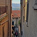 viuzze tipiche