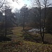 Truubeschloo - Blick auf einen Weiher