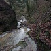 der Wasserfall bei 539 m, Oberkante