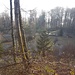 Überblick auf die anderen Weiher