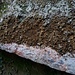 schöne Bänder mit Flechten und ?
