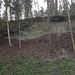 eine ehemalige Abbauwand nahe der Grube Truubeschloo, die Zufahrt wurde wohl leider auch zur wilden Müllentsorgung genutzt