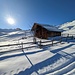 Die Hütte bei Treien P1888