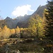 Herbstfarben und Bergeller Bergspitzen