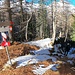 Discesa all'Alpe Monte Rosso inf.