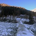 La briglia di Laresin