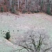 Jämsenrudel