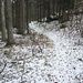 Nachtrag: Fotos vom 5. Dezember, nach der Überquerung des Grates auf 1180m hat es Schnee 
