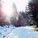 Winter-Wonderland.