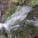 Der untere Wildebachfall.