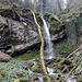 Der obere Wildebachfall.