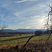 Beim Verlassen des Waldes war ich sicher, den richtigen Weg gefunden zu haben. Blick nach Süden zum Dreisessel-Hochkamm.