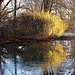 Kirchteich