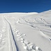 <b>È la mia terza escursione scialpinistica della stagione; l’allenamento in questa disciplina non è quindi ancora al top. Ciò nonostante tengo duro e persevero con grande impegno. Ad un certo punto devo interrompere la sciata per applicare la paraffina alle pelli di foca. Un principio di zoccolo frena infatti lo scivolamento. Risolto il problema continuo con rinnovato entusiasmo. </b>