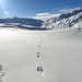 <b>Osservo le impronte di una lepre bianca. Non riesco tuttavia a scorgere animali selvatici, nemmeno la pernice bianca, che fotografai in questa zona anni fa.</b>
