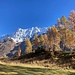 während des Abstiegs - schöne Lärchengruppe mit Breithorn ...