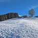 und weiter geht es über "Mittelholzersgschwend" zur Chlepfhütte hinauf