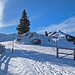 auf dem Weg zum Berggasthaus Scheidegg (AI 
