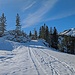 auf dem Weg zum Berggasthaus Scheidegg (AI)