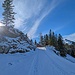 auf dem Weg zum Berggasthaus Scheidegg (AI
