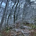 Impressionen im Aufstieg zum Chluser Roggen.