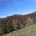 westwärts