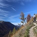 schön angelegter Steig